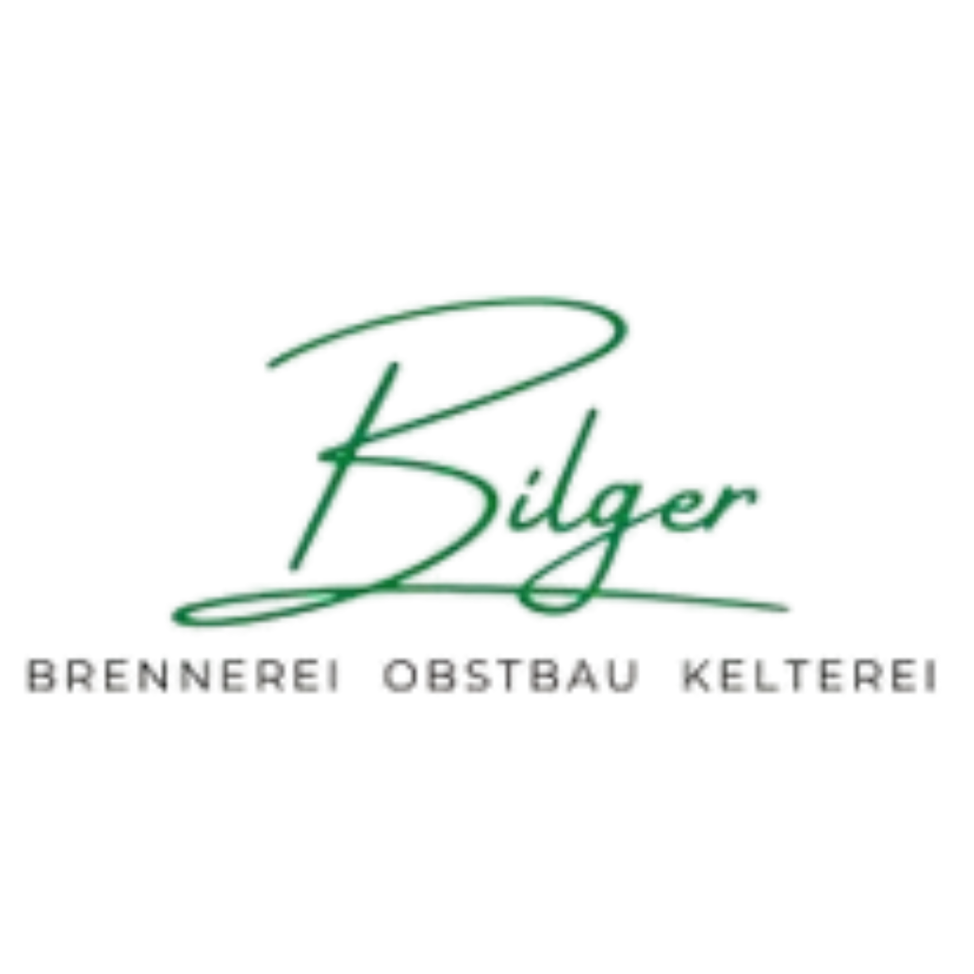 Bilger Partner Logo