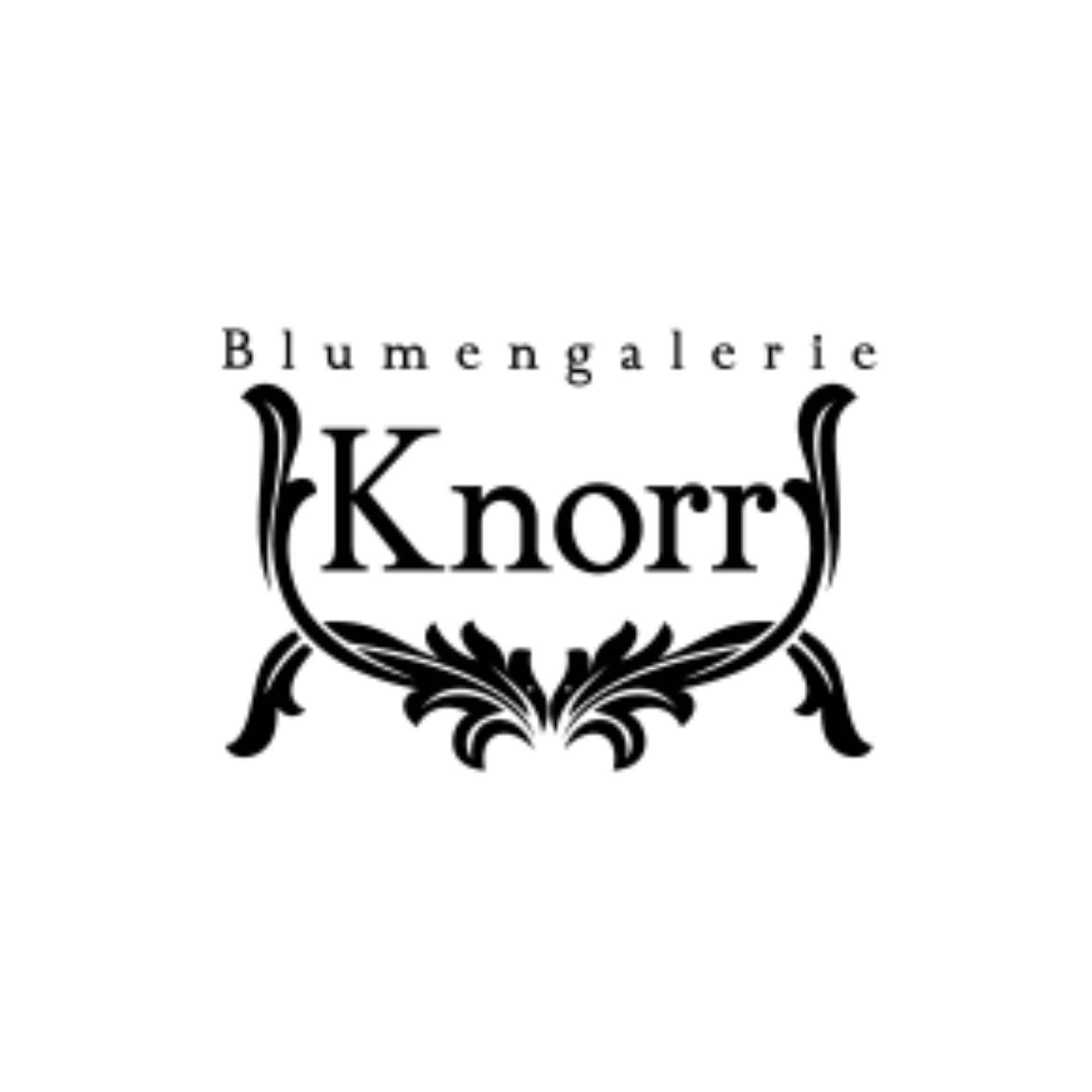 Blumengalerie Knorr Partner Logo